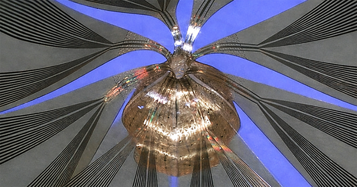 Living ‘Mini Brains’ Meet Next-Generation Bioelectronics | News