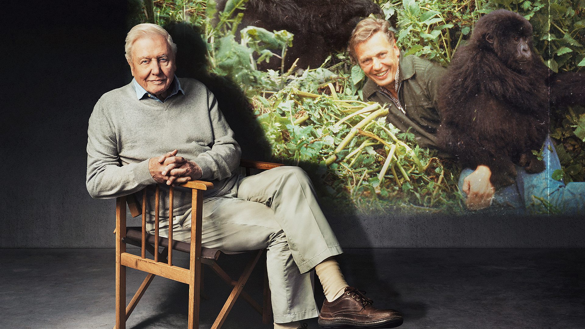 Sir David Attenborough’s 100th Birthday celebrated across the BBC with special programming
