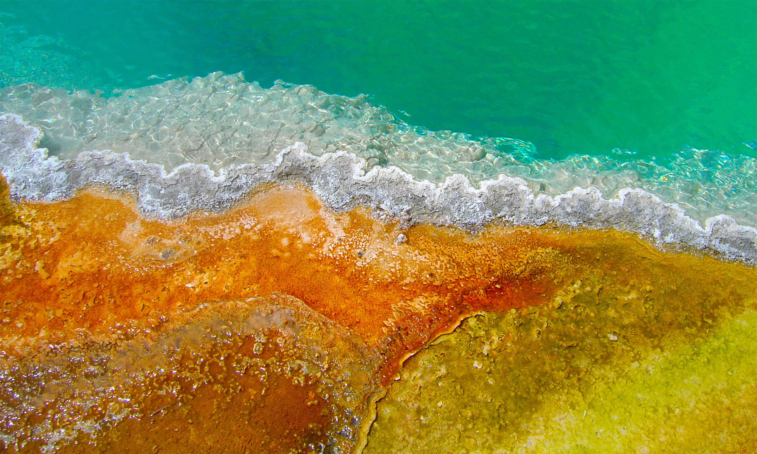 Oxygen-breathing life forms arrived on Earth sooner than believed