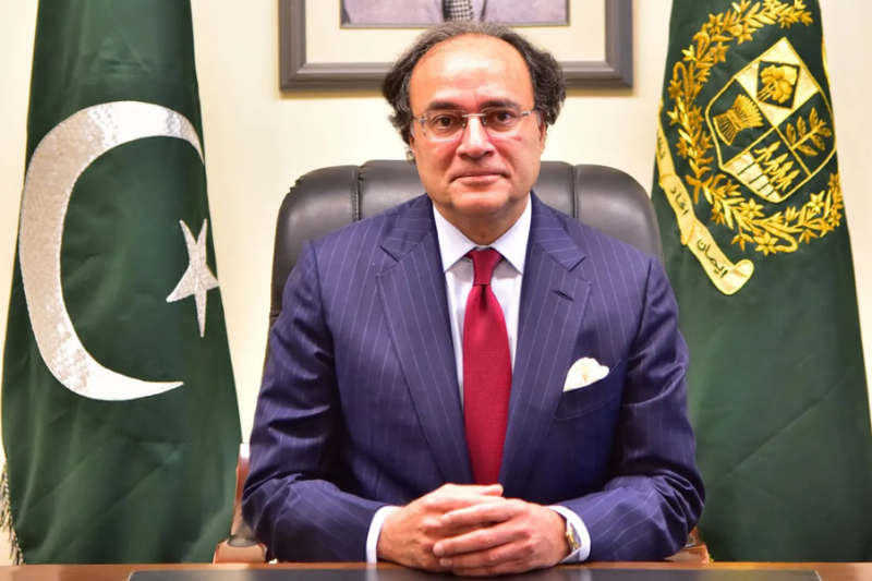 Public-private collaboration key to tackling climate change: Aurangzeb