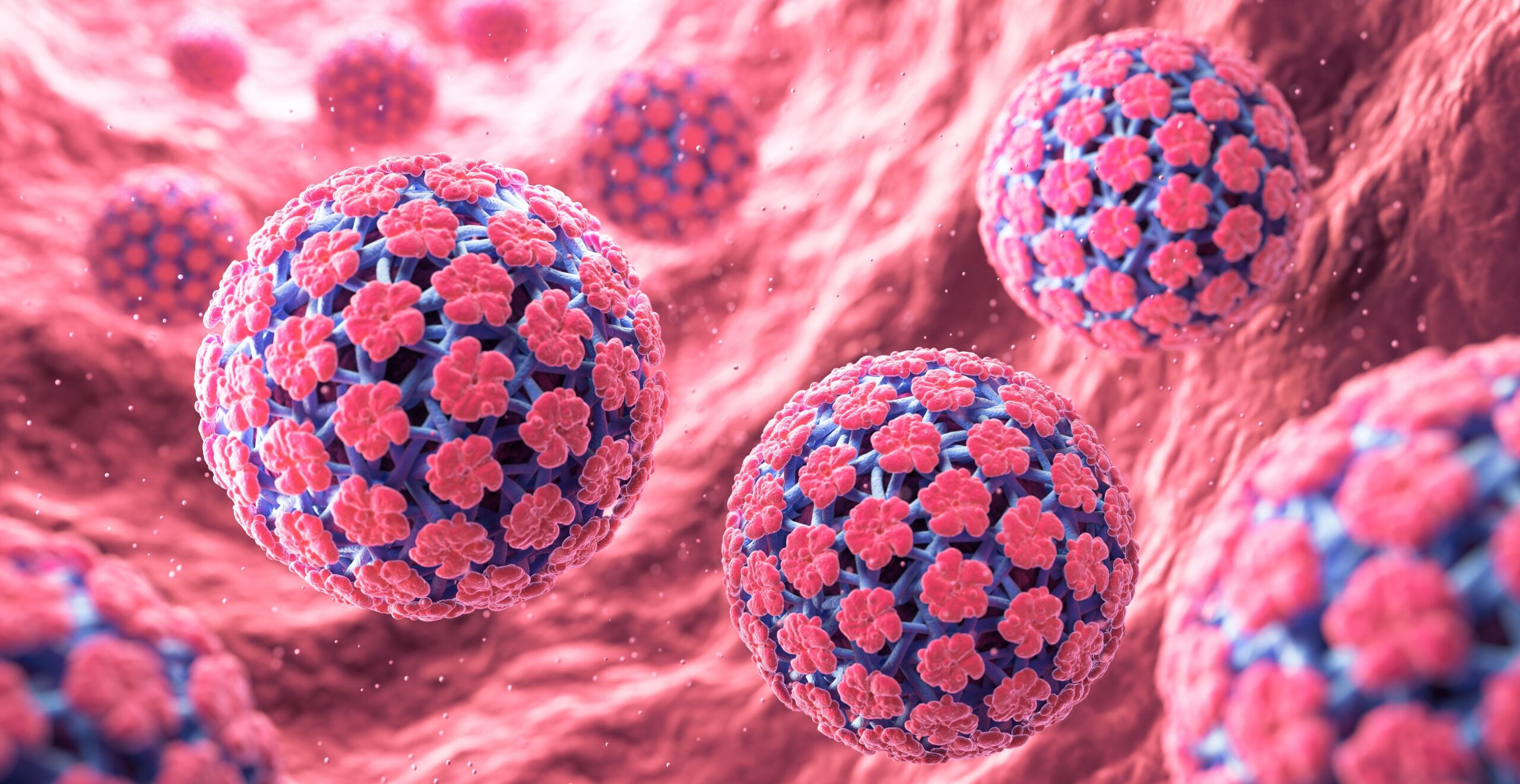 How vaccine structure shapes immune response to HPV tumours