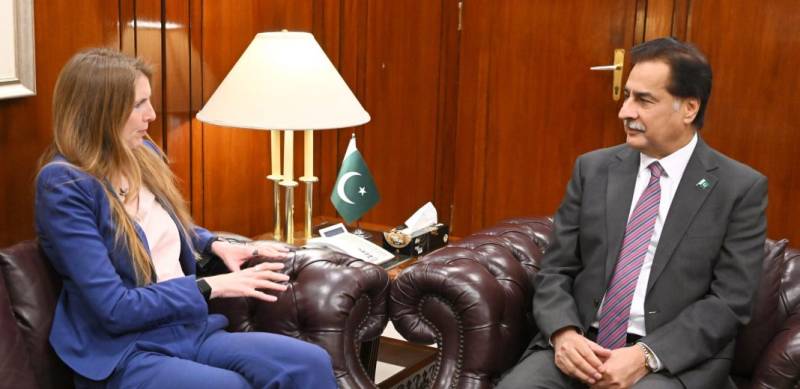 UK envoy, NA Speaker exchange views on bilateral ties