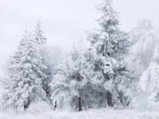 Amtrak passenger captures ‘Narnia’-like frozen gangway during New York deep freeze