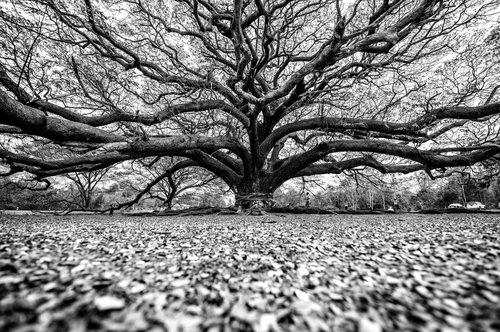 A&O Shearman on Perpetual Hybrid