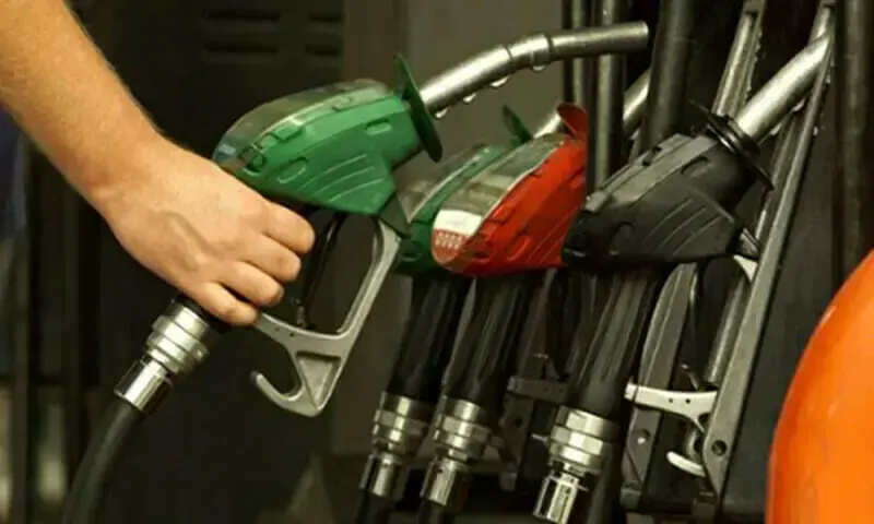 Senate panel to expose fuel price hike beneficiaries – Business