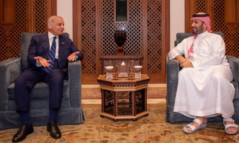 In ‘restricted meeting’ with Saudi crown prince, PM Shehbaz assures him of Pakistan’s ‘full solidarity, support’ – World