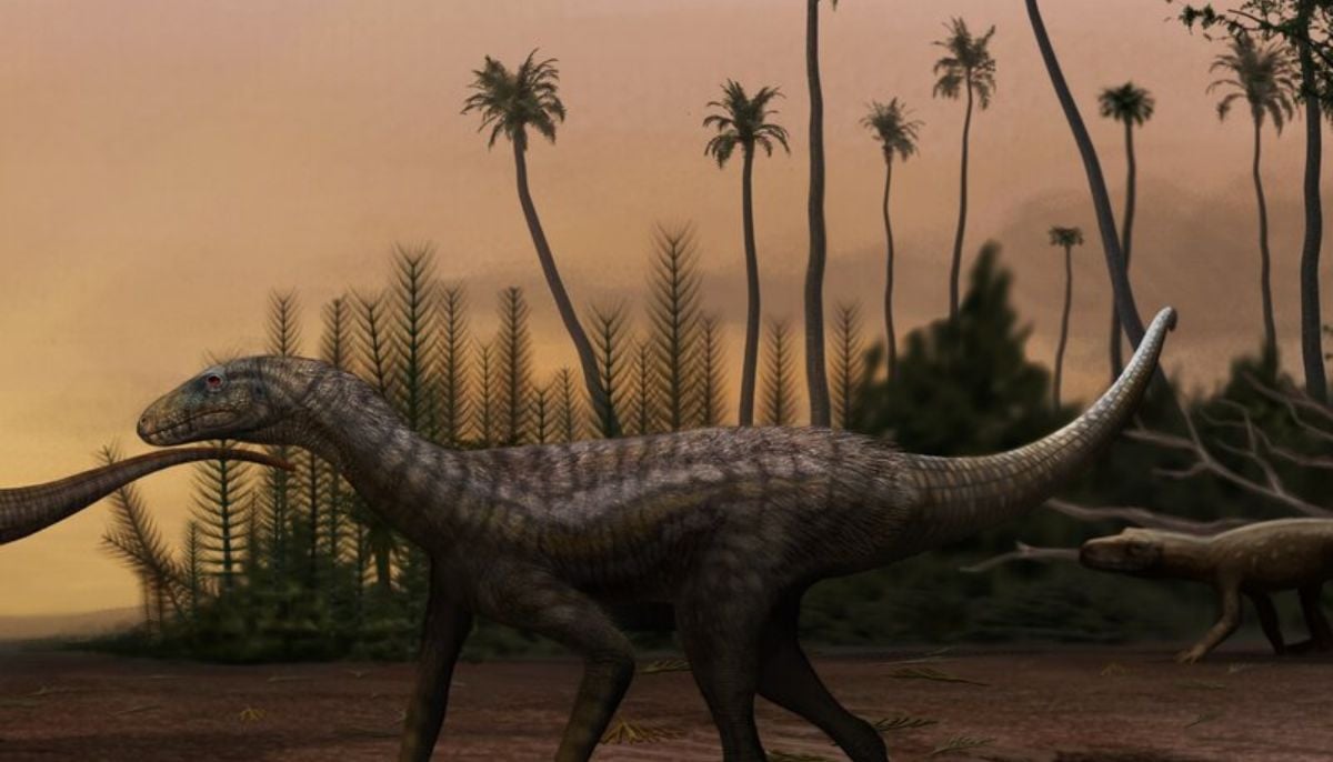 Brazil fossil of giant dinosaur reveals continents were connected 120 million years ago