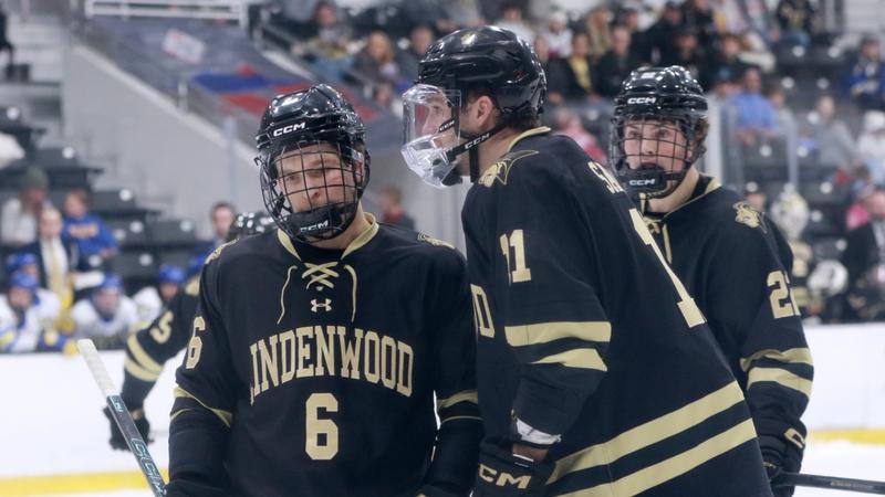 Men’s Hockey Suffers Overtime Defeat in UCHC Championship Game
