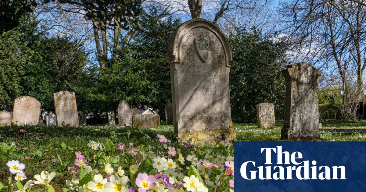 Country diary: Primroses turn a churchyard buttery yellow, heralding spring | Wild flowers