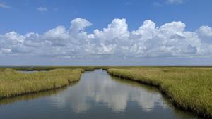 First world map shows impact of the tidal pulse in coastal rivers