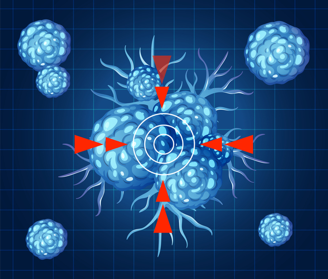 Shifting Standards: Early ADC Use Complicates HER2+ MBC Treatment Paths
