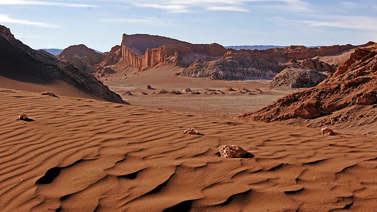 Scientists make stunning discovery after digging in world’s driest desert: ‘Becoming increasingly relevant’