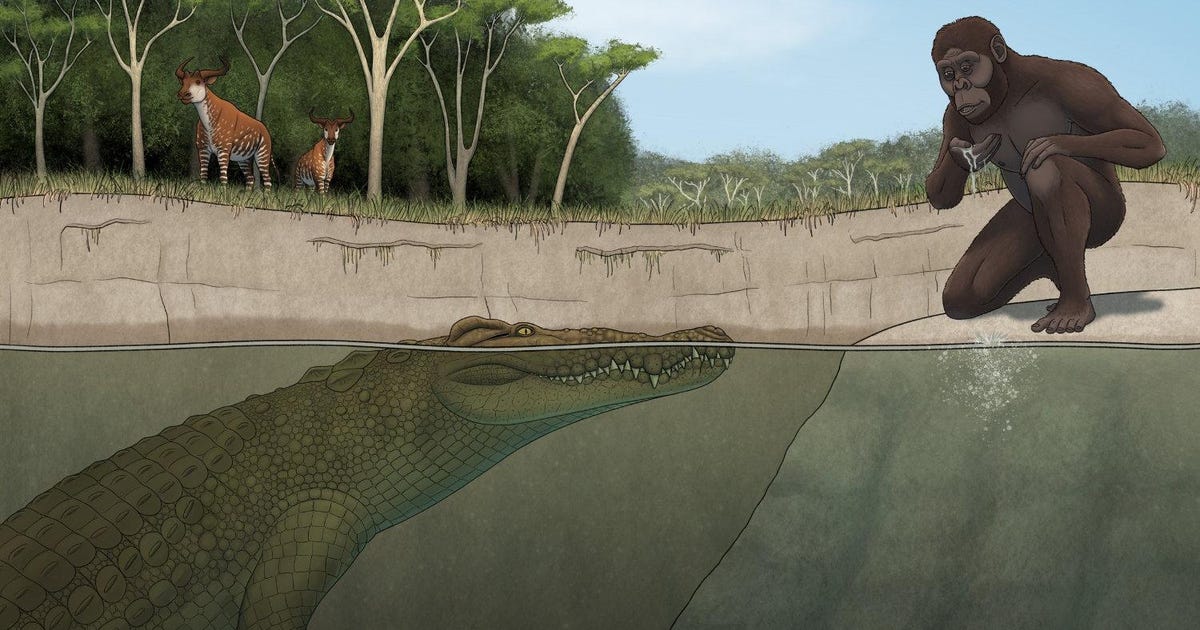 Lucy’s Peril: Extinct Giant Crocodile That Lived With Hominins Identified in Ethiopia