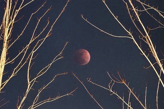 In pics: Lunar eclipse in China