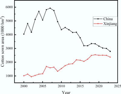 Turning waste into climate gains: Co-pyrolysis of cotton straw and plastic mulch could cut millions of tons of CO₂ in Xinjiang