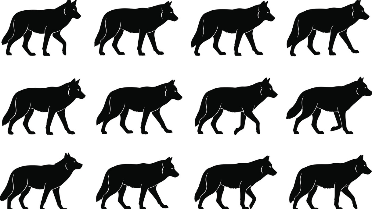 Artificial neural network reproduces gait patterns of four-legged animals