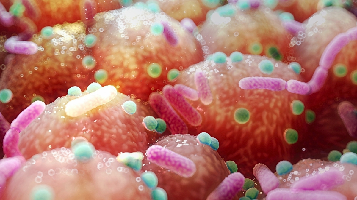 Parkinson’s Link to Gut Bacteria Hints at Unexpectedly Simple Treatment : ScienceAlert