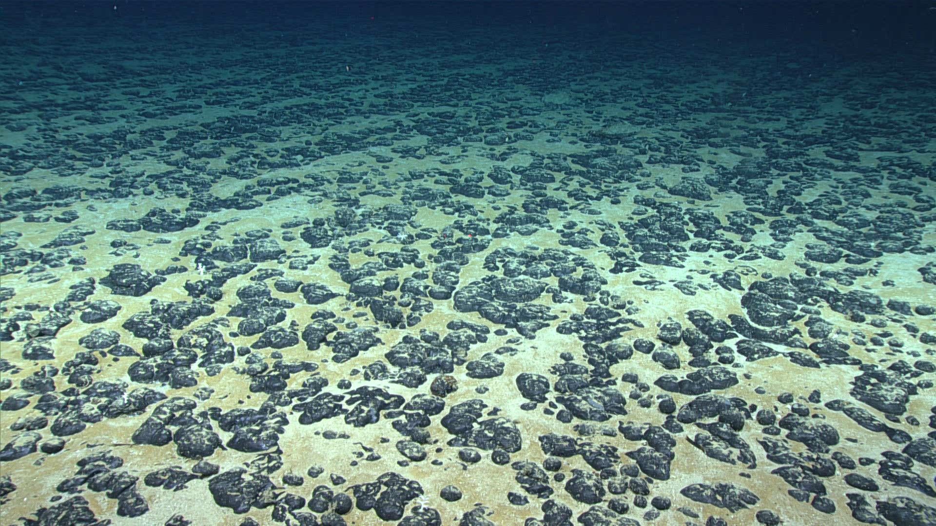‘Dark oxygen’ discovery on the seafloor is ‘fundamentally at odds with thermodynamics’ and should be retracted, experts say