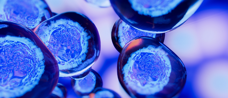 NKT cells: a generalist in disease treatment and a new key to unlock immunotherapy