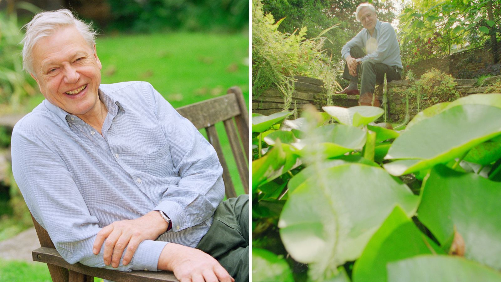 David Attenborough’s ’90s Garden Pioneered The Wild Trend