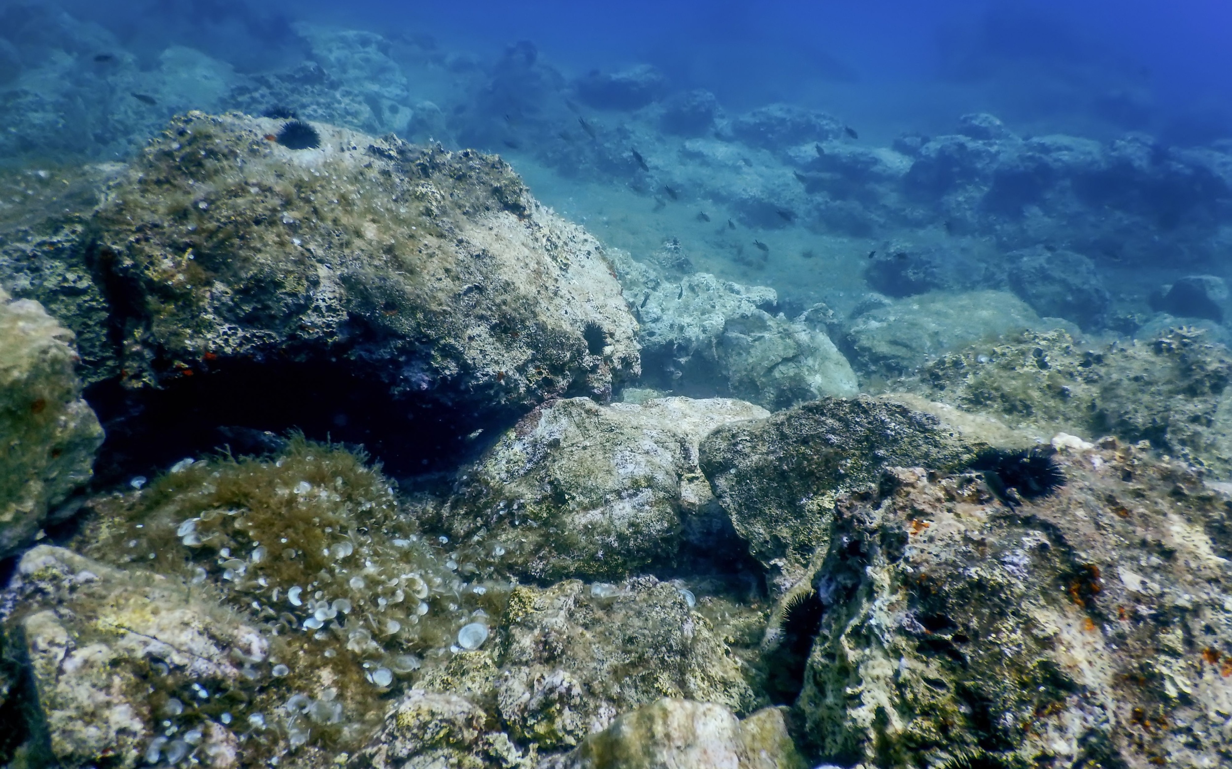 Half-billion-year-old ‘rock clock’ reveals ancient climate shifts