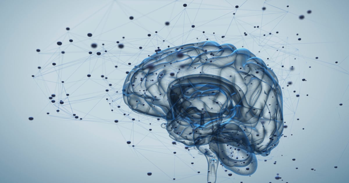 Taurine and B vitamins bost motivation and focus