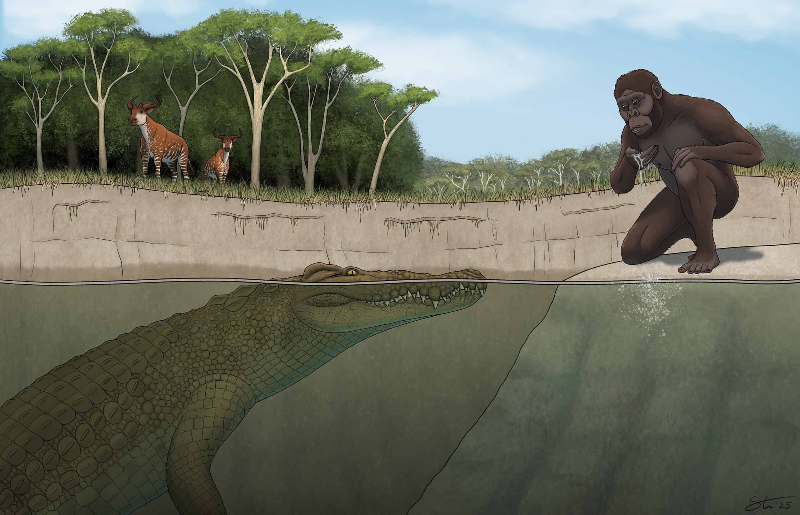 Brutal New, 15-Foot Horned Crocodile Once Stalked and Hunted Our Ancient Human Ancestors in Ethiopia