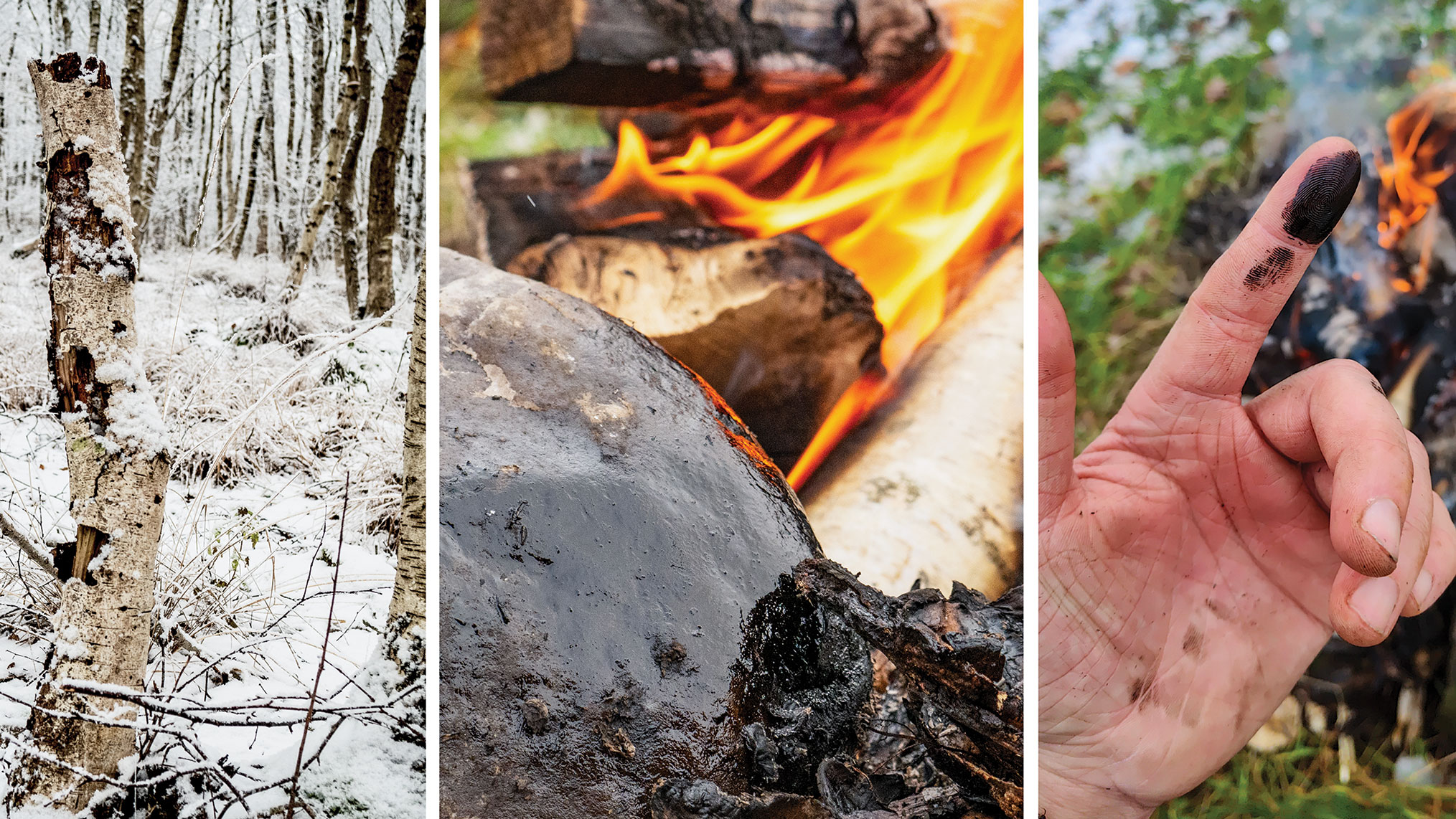 Neanderthals may have used a prehistoric glue as a topical antibiotic