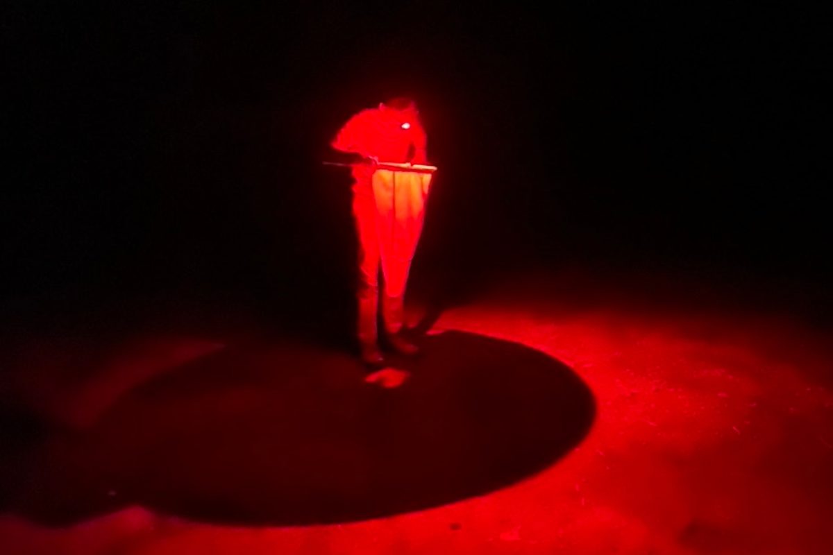 “I would wonder if I was just seeing things.” Scientists make illuminating discovery in South Carolina swamp