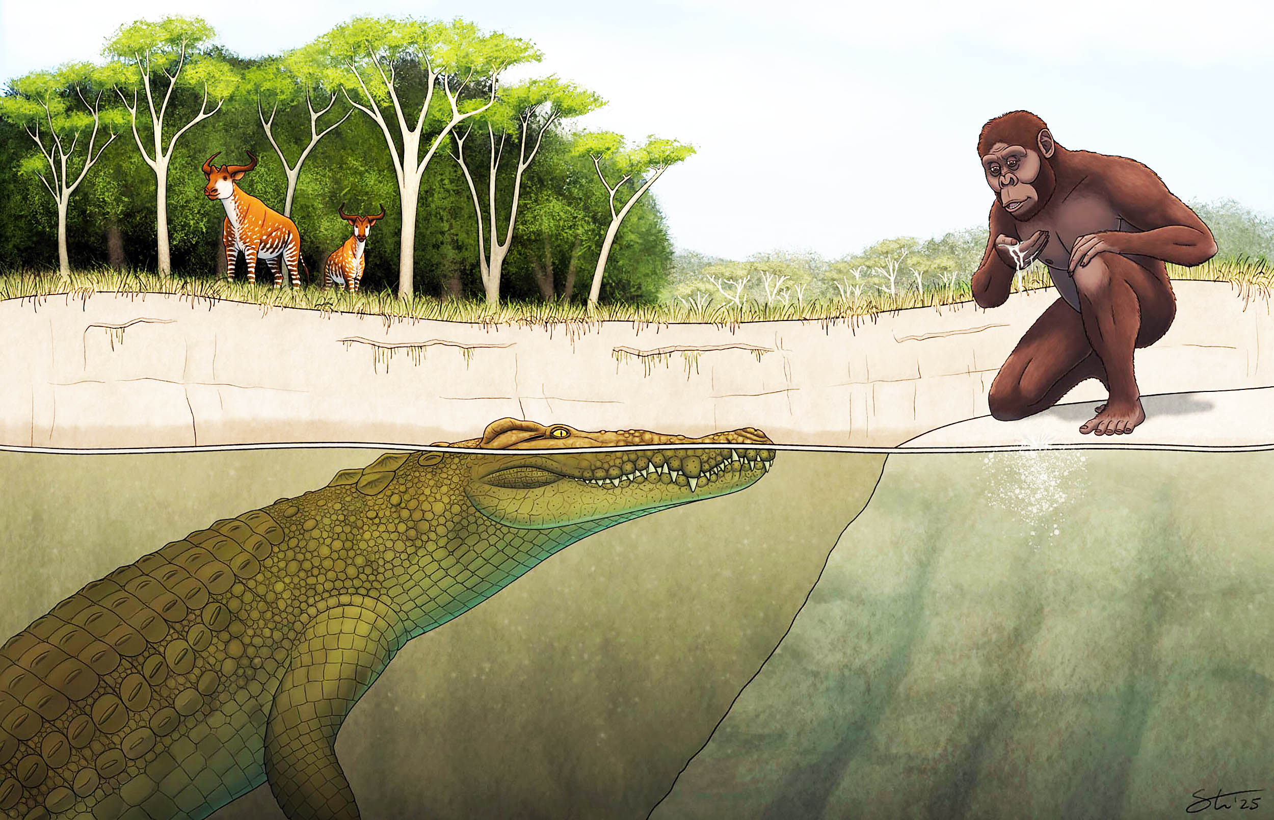 Crocodile named ‘Lucy’s hunter’ may have stalked early humans