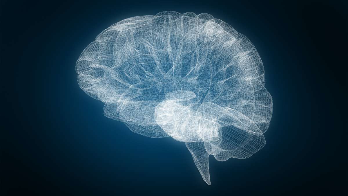 UCLA researchers show how individual brain activity drives group dynamics, helping animals adapt and stay stable under stress