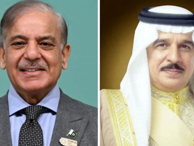 In call with Bahrain king, PM Shehbaz says Pakistan continues supporting efforts to ending regional hostilities