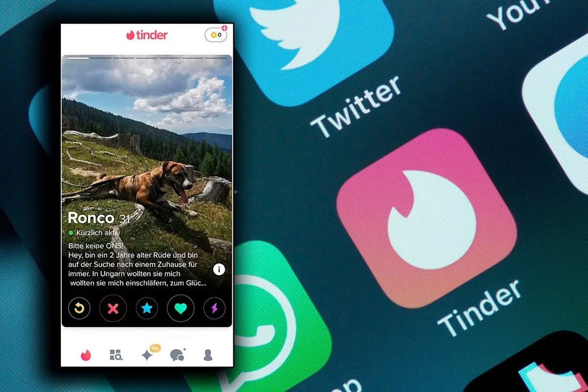 Scientists Studied 1,000 Tinder Profiles – One Photo Type Wins Most Often