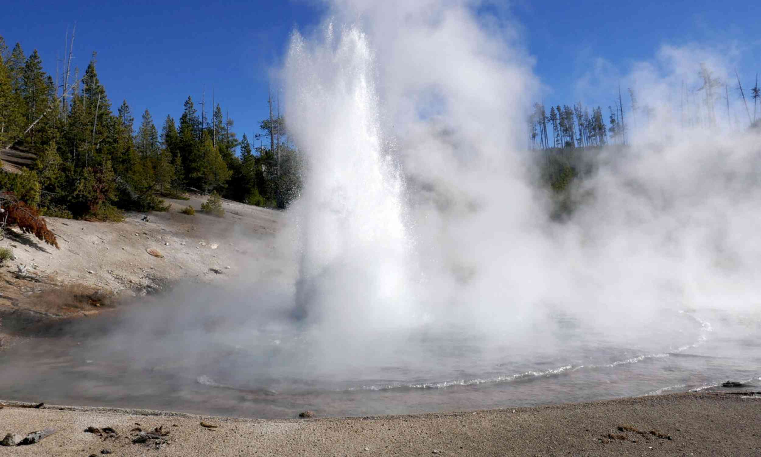 Rare ‘acid geyser’ in Yellowstone forcefully erupts after long silence