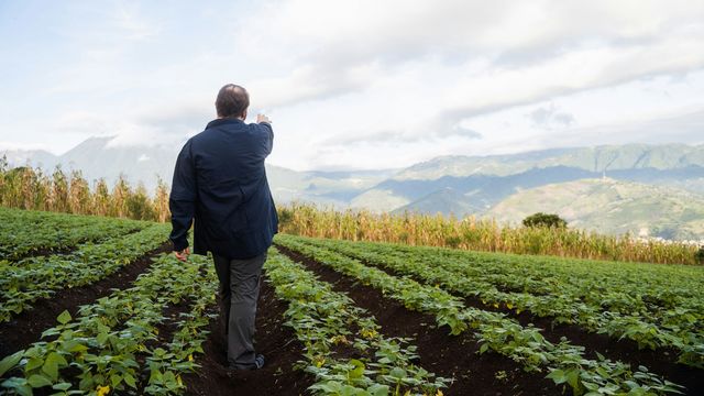 Crop Viruses Traced Back to Last Ice Age