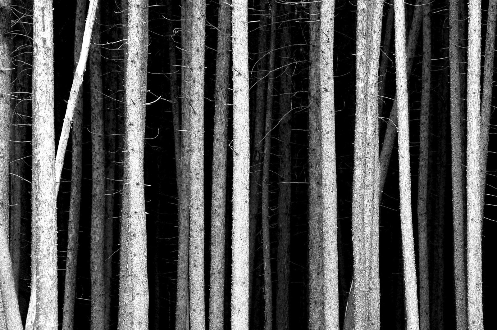 Vertical conduct fines fall as RPM enforcement continues