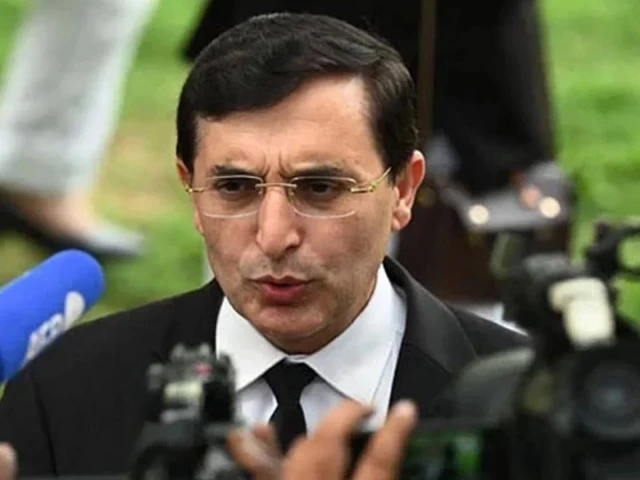 PTI’s Gohar defends Kasim’s UNHRC speech amid government uproar