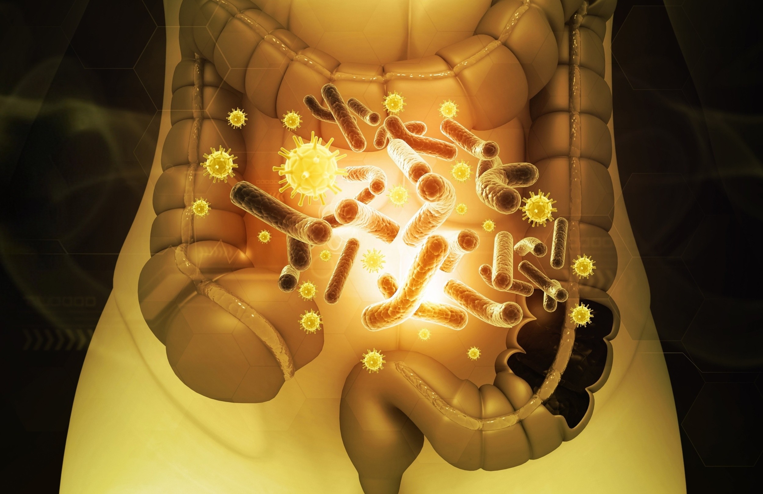 Gut bacteria linked to stronger muscles and better fitness