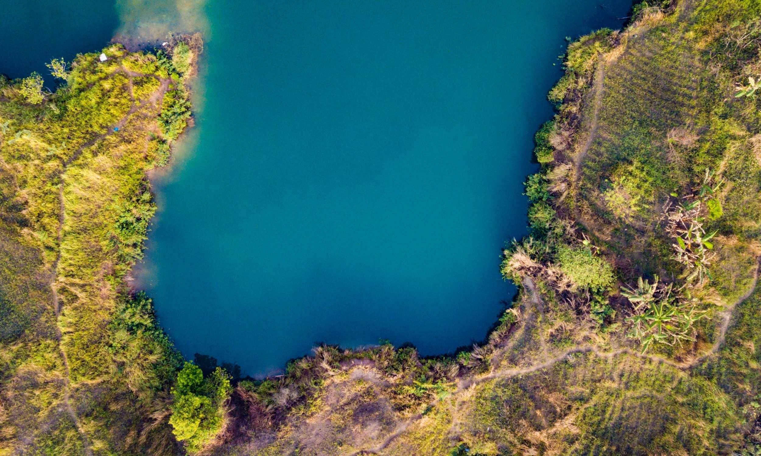 Early land plants may have reshaped Earth’s carbon cycle