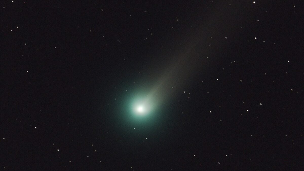 Newly Discovered Comet Could Appear During the Day—If It’s Not Destroyed First