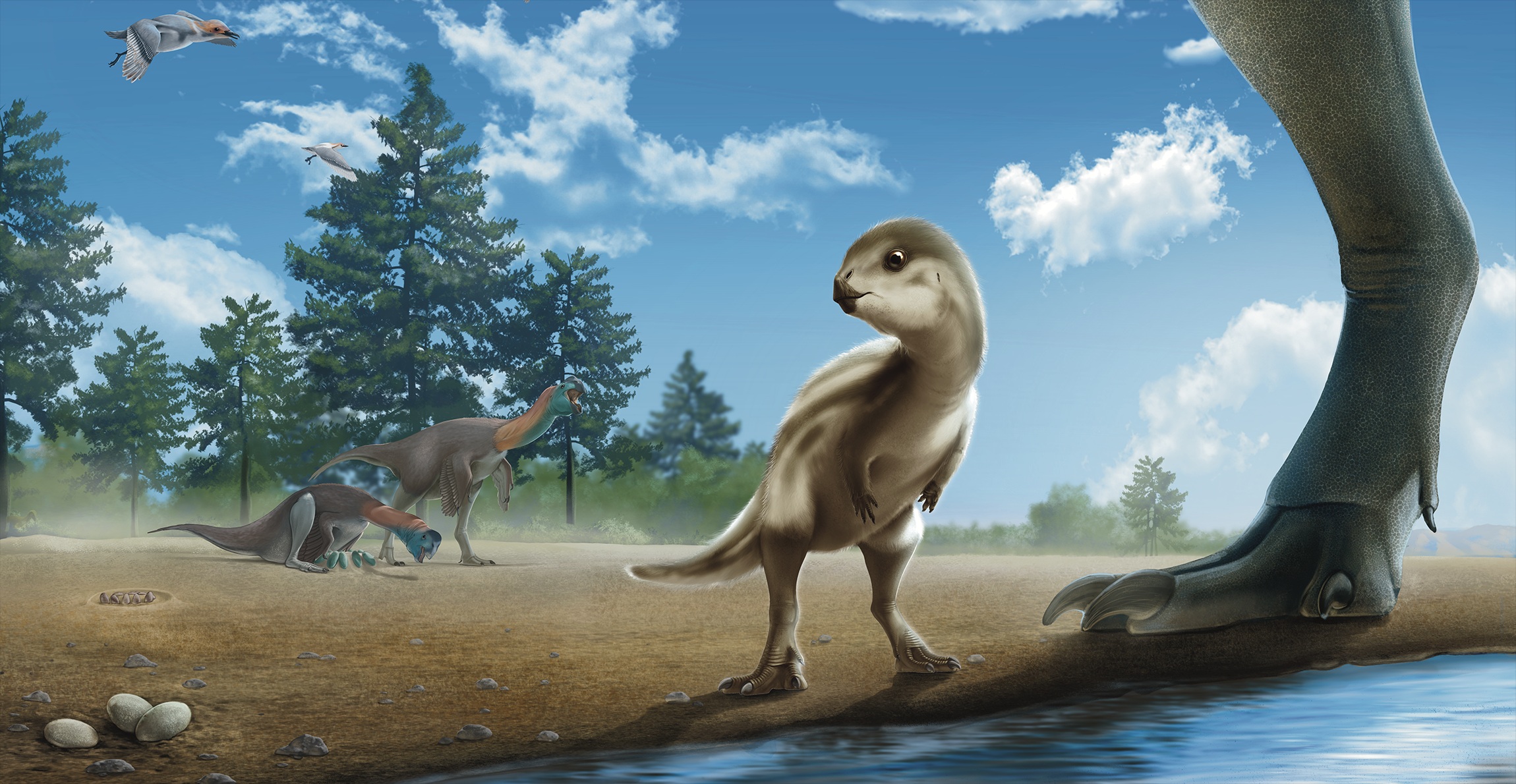 New species of baby dinosaur named after famous South Korean cartoon
