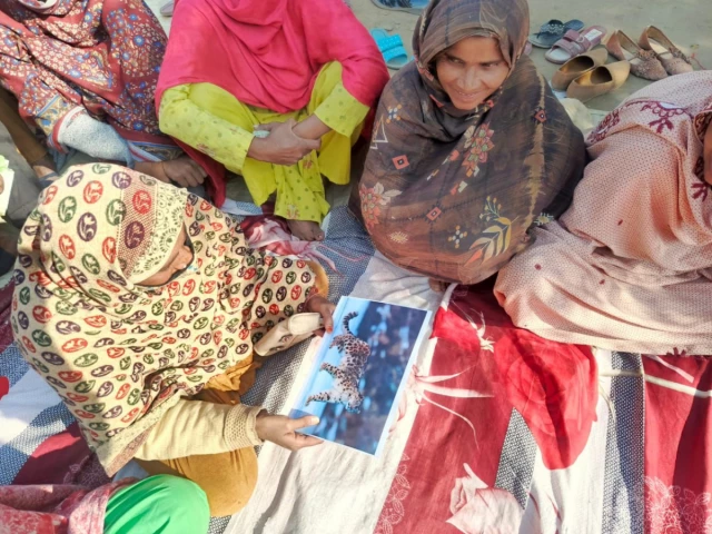 Wildlife crime, unsustainable harvesting threaten Pakistan’s biodiversity, WWF warns