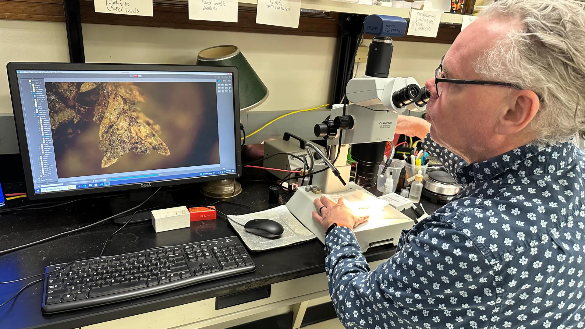 Tiny clump of moss helped solve a shocking cemetery crime