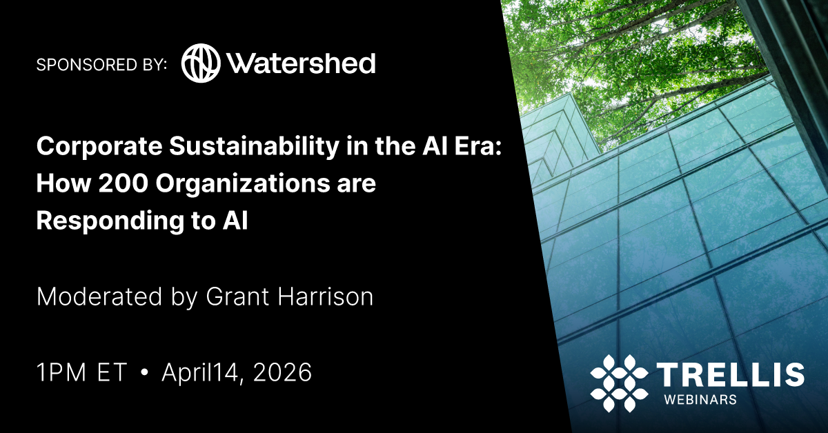 Corporate Sustainability in the AI Era
