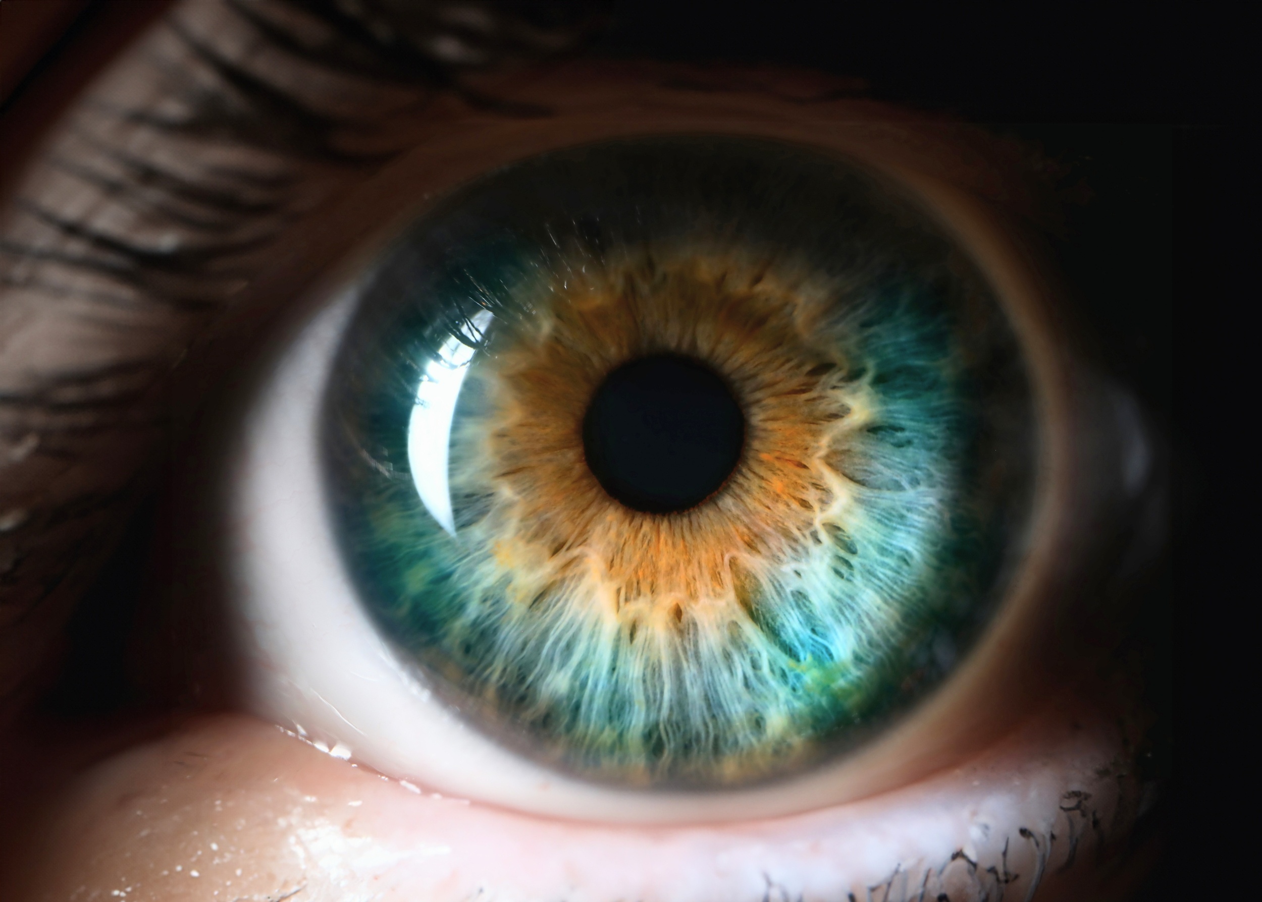 Wireless eye implant helps blind patients read again