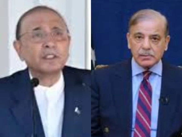 Zardari, Shehbaz back women empowerment
