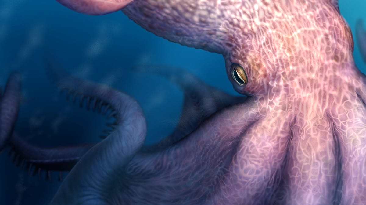 ‘A fearsome sight’: 19-metre-long octopuses prowled the oceans 100 million years ago – new research