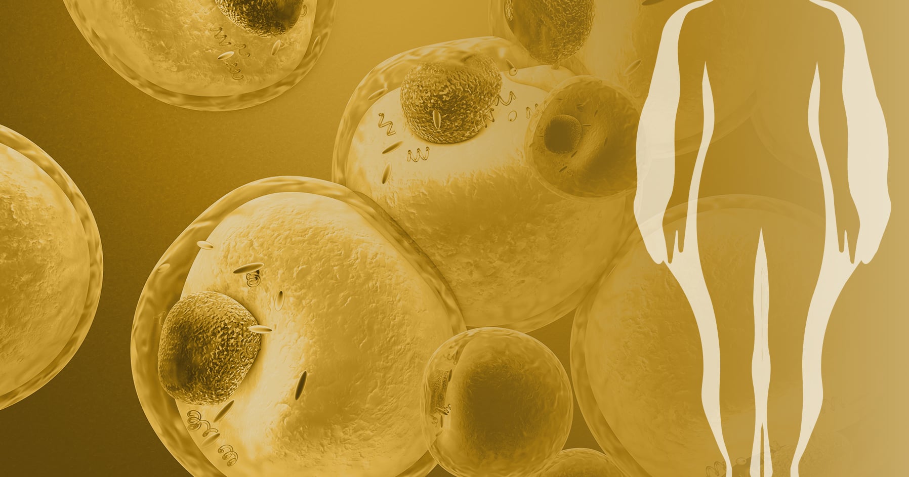 Moving obesity diagnosis beyond BMI may delay treatment