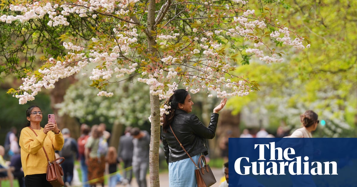 Spring flowers bloom in England after mix of hot and cold weather creates ideal conditions | UK weather