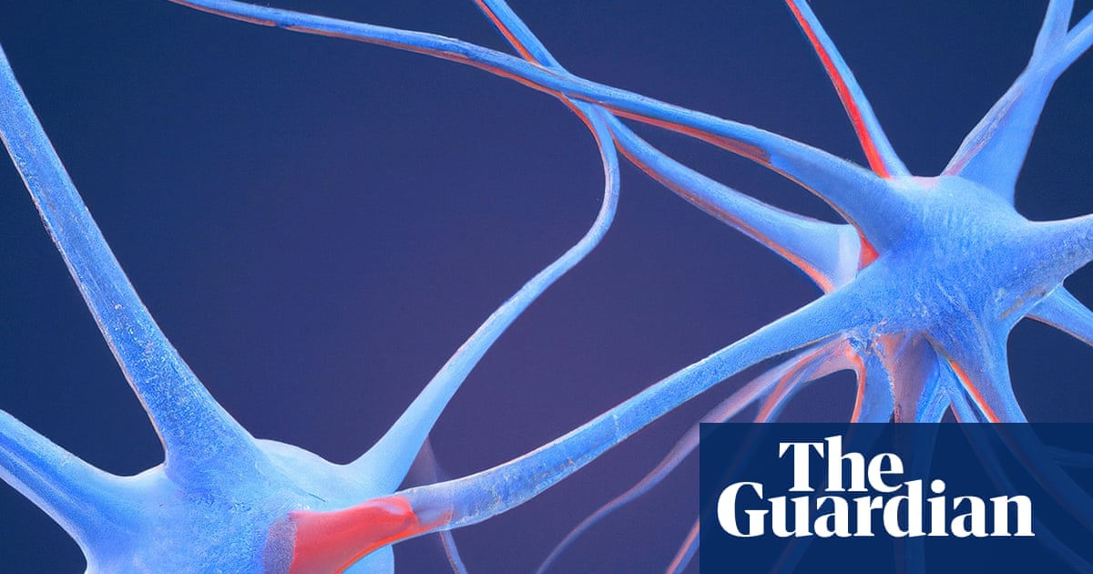 Scientists identify ‘neural fingerprint’ of psychedelic drugs in the brain | Drugs